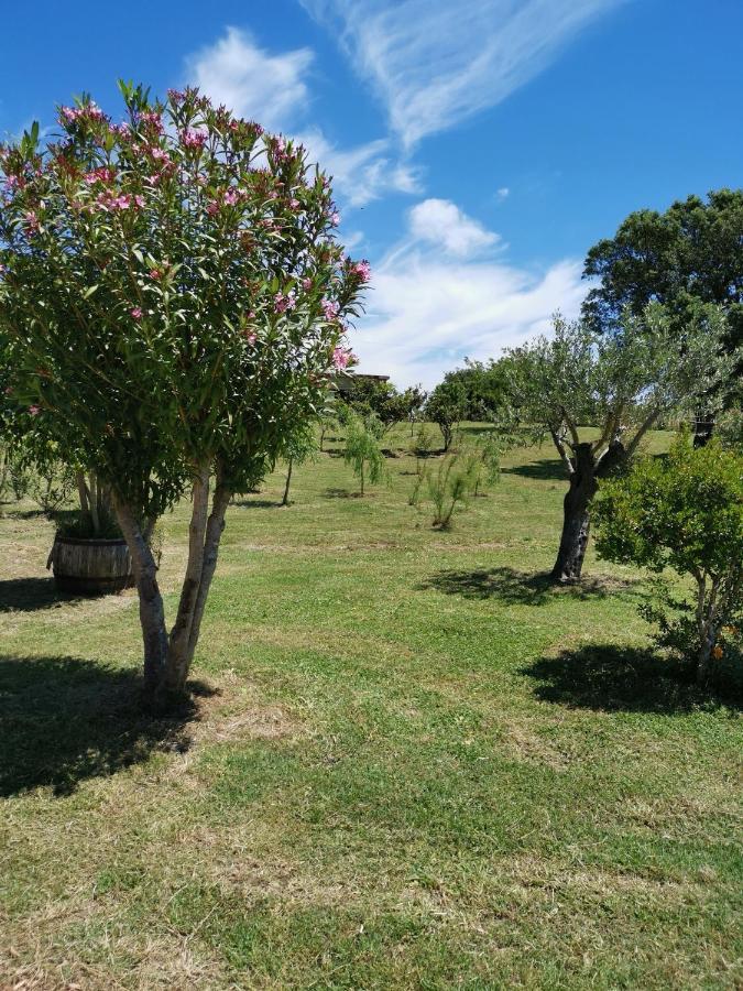Home Garden 西尼斯科拉 外观 照片