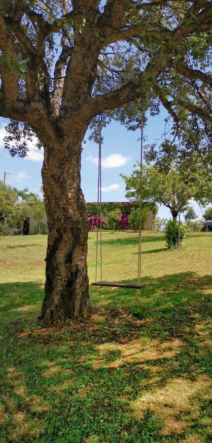 Home Garden 西尼斯科拉 外观 照片